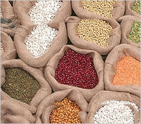 Bulk & Agro Commodity Trading